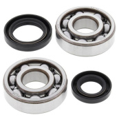 Комплект подшипников и сальников коленвала ALL BALLS для SUZUKI RM125 82-88
