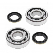 Комплект подшипников и сальников коленвала ALL BALLS для SUZUKI RM250 03-04