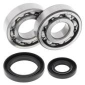 Комплект подшипников и сальников коленвала ALL BALLS для SUZUKI RM250 86-88