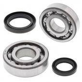 Комплект подшипников и сальников коленвала ALL BALLS для SUZUKI RMX250 89-94
