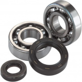Комплект подшипников и сальников коленвала ALL BALLS для KAWASAKI KDX250 91-94, KX250 87-01