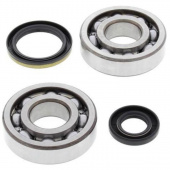 Комплект подшипников и сальников коленвала ALL BALLS для SUZUKI RM250 94-95