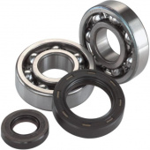 Комплект подшипников и сальников коленвала ALL BALLS для YAMAHA YZ125 01-04