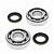 Комплект подшипников и сальников коленвала ALL BALLS для SUZUKI RM250 03-04