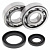 Комплект подшипников и сальников коленвала ALL BALLS для SUZUKI RM250 86-88